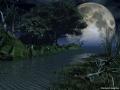 silent night copy